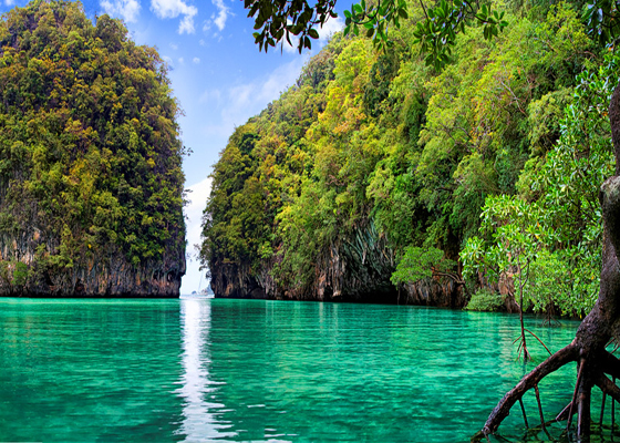 Hong Island By Long Tail Boat