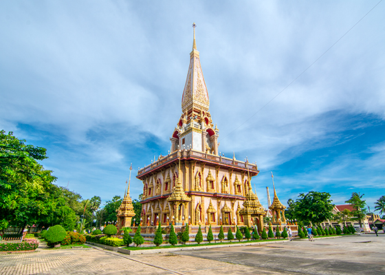 Sightseeing Tour + Tiger Kingdom