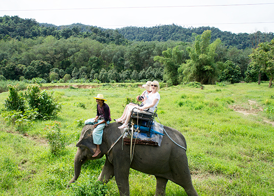 City Tour with Elephant Safari