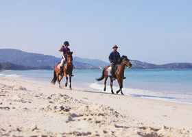 Phuket Horse Ridding