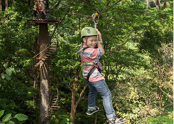 Hanuman World Ziplines