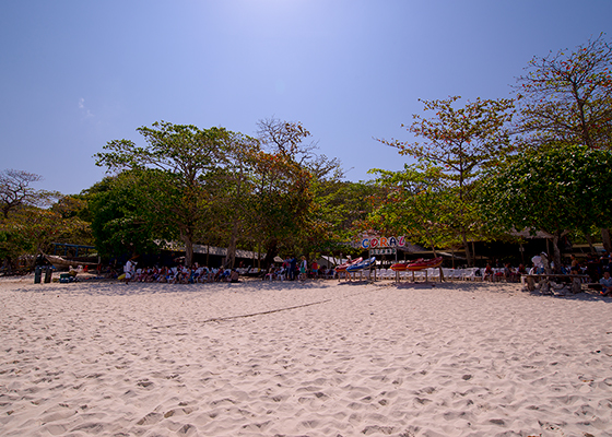 Raya & Coral Island