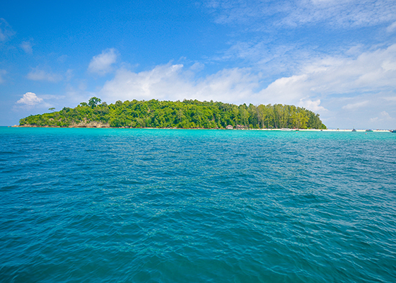 Phi Phi Maya Bay Bamboo Tour