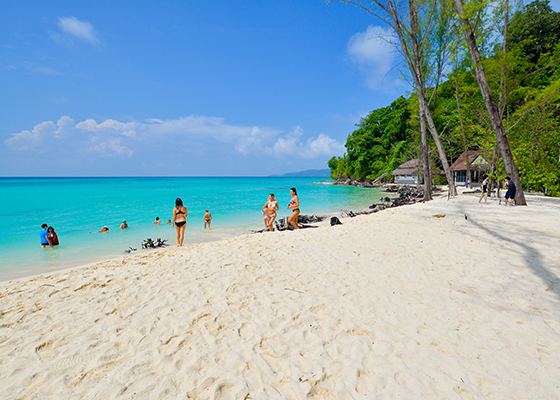 Phi Phi Maya Bay Bamboo Tour