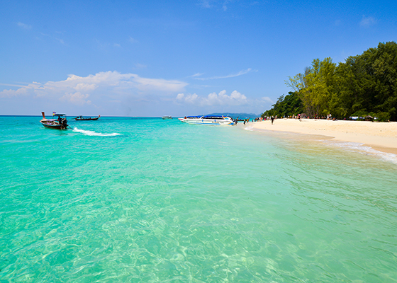 Phi Phi Maya Bay Bamboo Tour