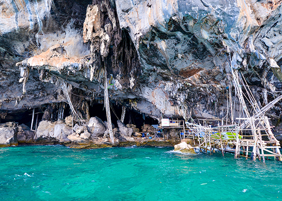 Phi Phi Maya Bay Bamboo Tour