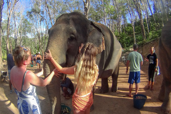 Elephant Jungle Sanctuary Park