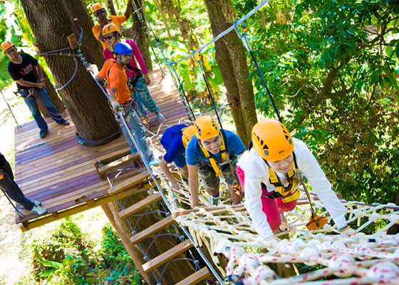 Skyline Zip-Lines & ATV Tour