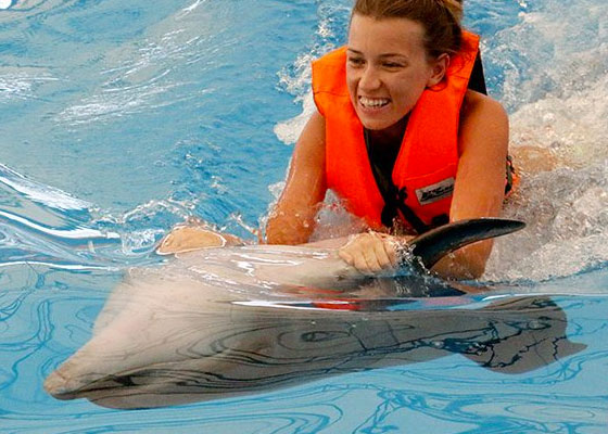 Phuket Dolphin Show Tours