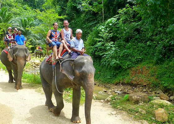 Private Khao Lak Jungle Safari Tour