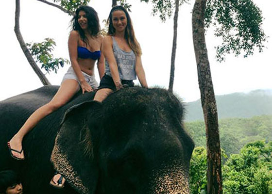 Phuket Elephant Tours