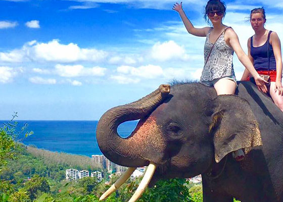 Phuket Elephant Tours