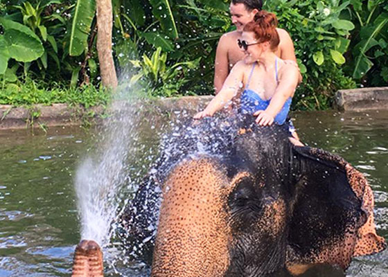 Phuket Elephant Tours