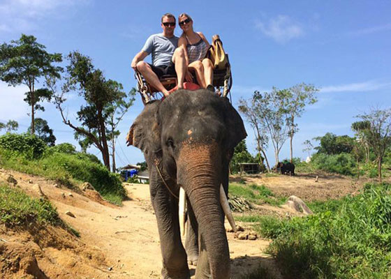 Phuket Elephant Tours