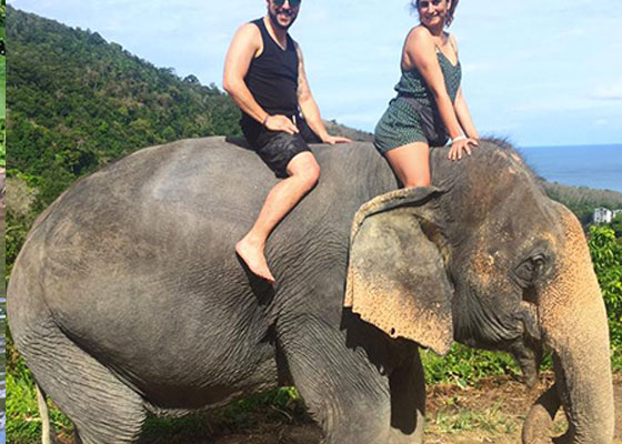 Phuket Elephant Tours