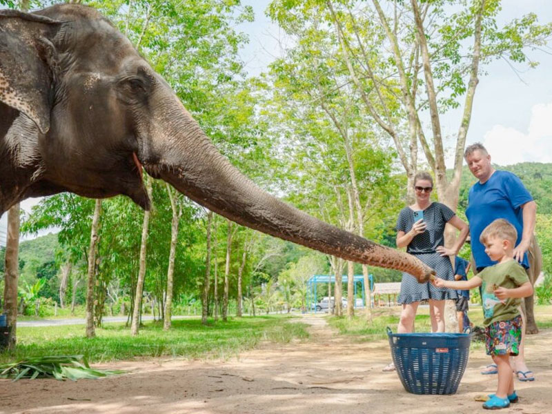 Elephant  Sanctuary Park