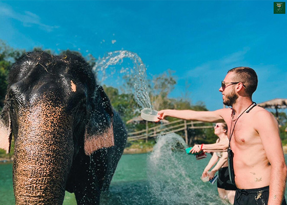 Phuket Elephant Care Sanctuary Tour