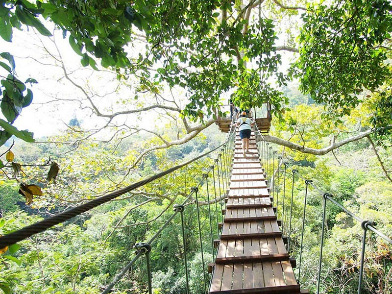 Phuket Zipline Adventure