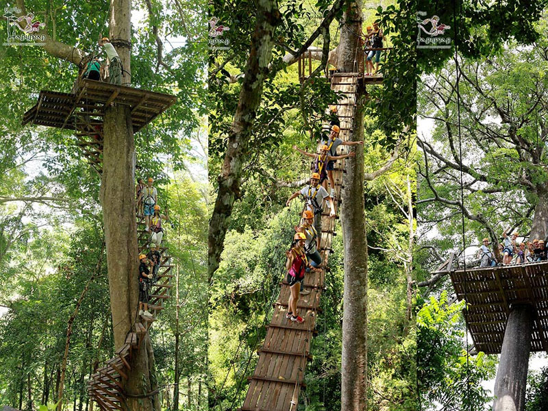 Phuket Zipline Adventure