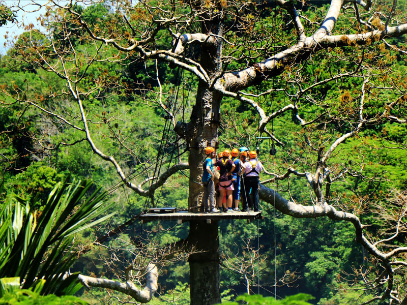 Phuket Zipline Adventure